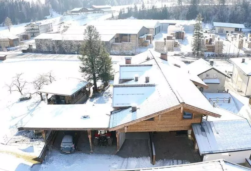 هتل Familienbauernhof   Leogang Apartments Weissbacher