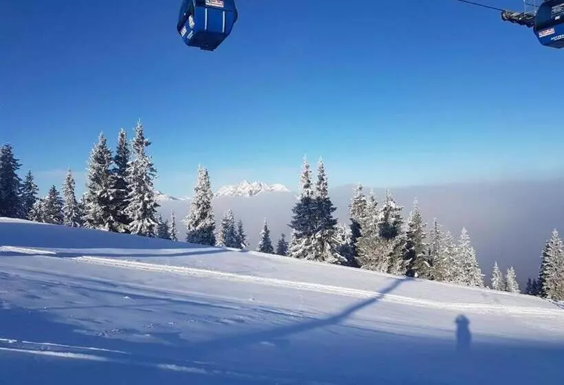 هتل Familienbauernhof   Leogang Apartments Weissbacher