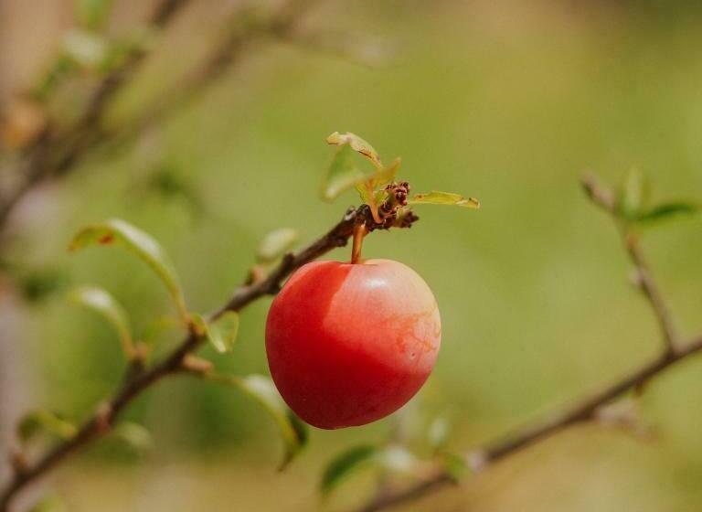 Monte Gracia Wellness Hotel & Spa Sas