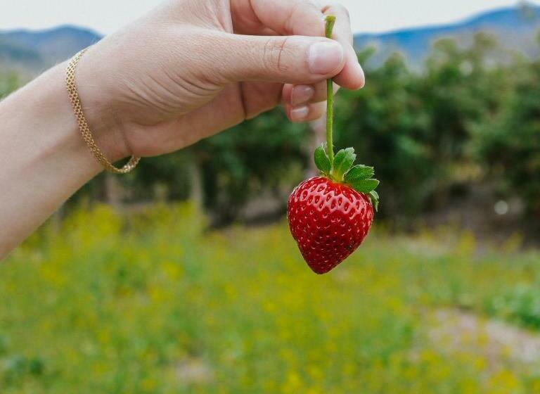 Monte Gracia Wellness Hotel & Spa Sas