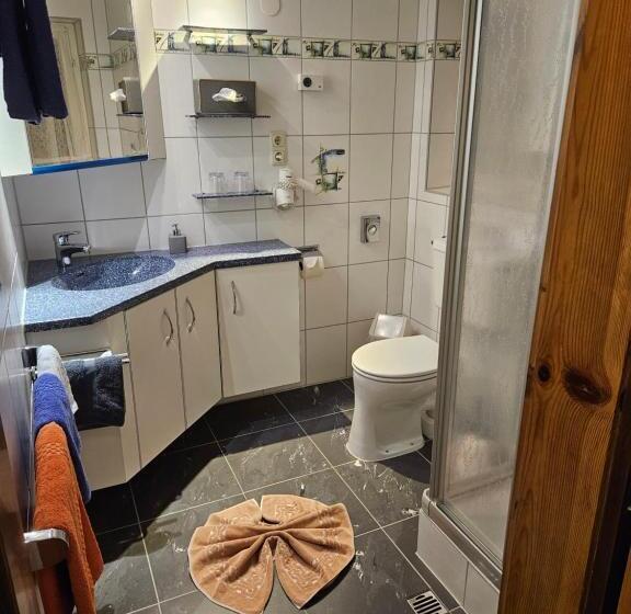 بنسيون Das Elisabeth