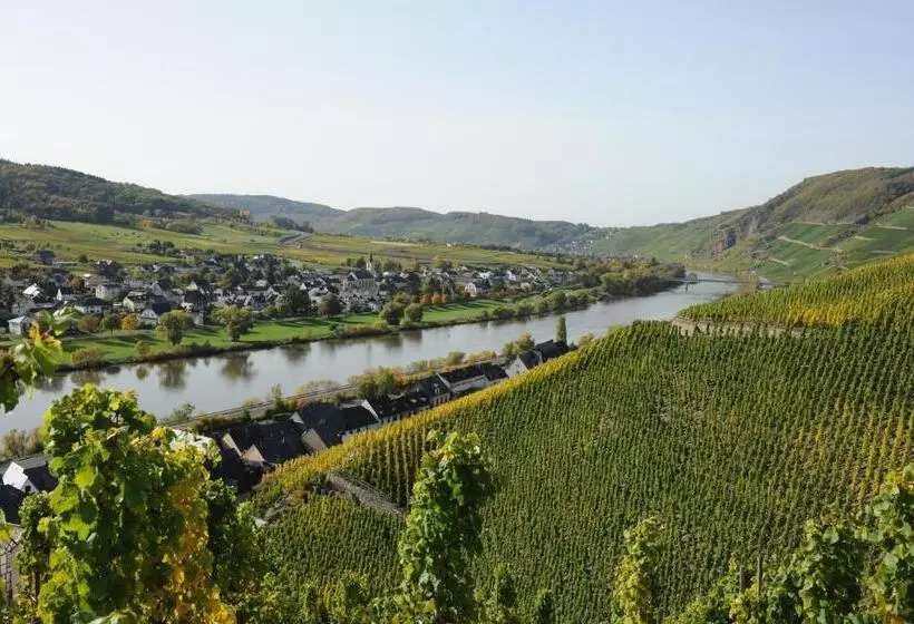 ペンション Ferienweingut Wolfgang Adamy