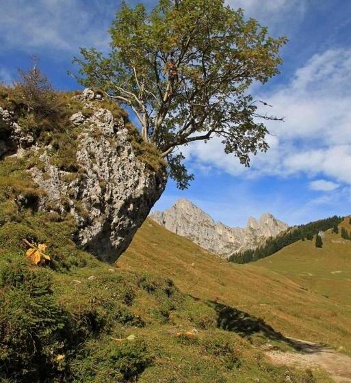 Пансион Gintherhof
