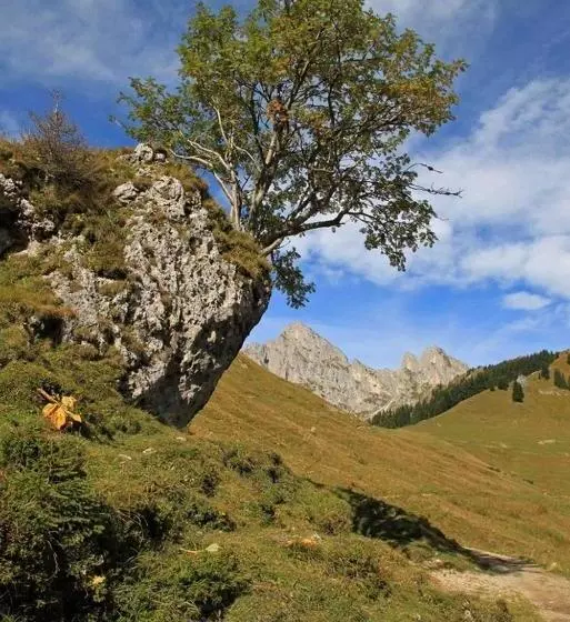 ペンション Gintherhof