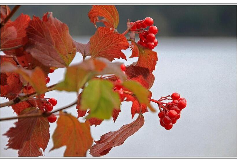 Пансион Gintherhof