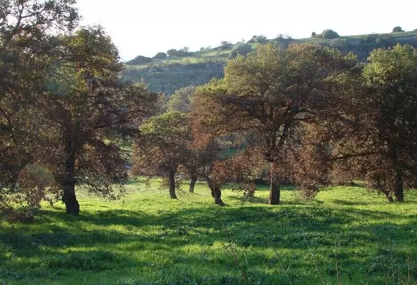 Nocleg ze śniadaniem Sa Chessa