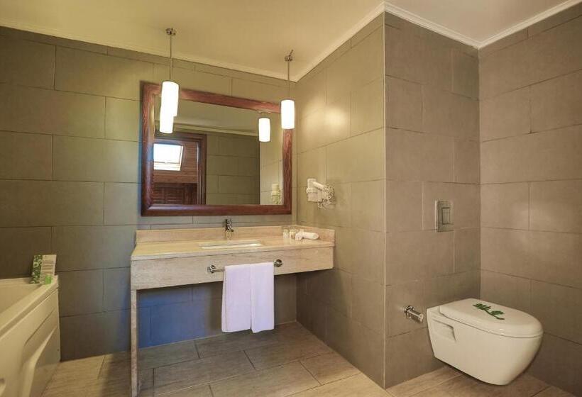 ホテル Gazelle Resort & Spa