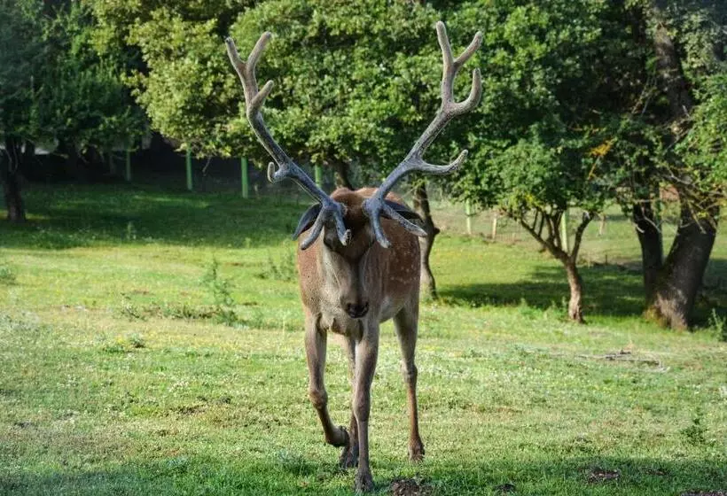 هتل Gazelle Resort & Spa