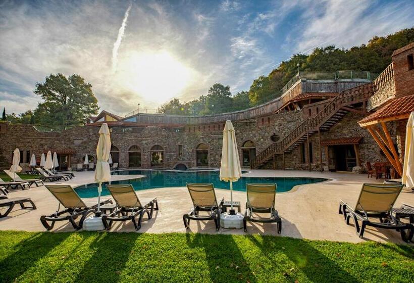 ホテル Gazelle Resort & Spa