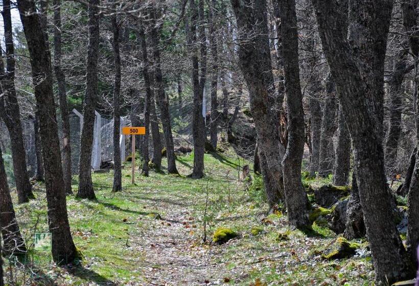 ホテル Gazelle Resort & Spa