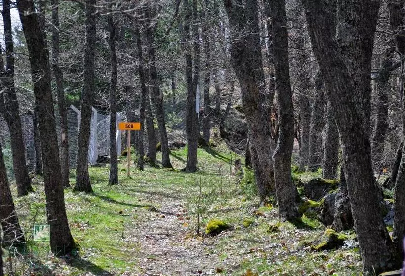 هتل Gazelle Resort & Spa