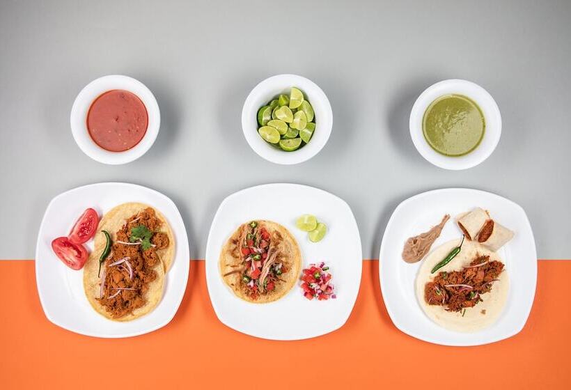 فندق One Guadalajara Tapatio