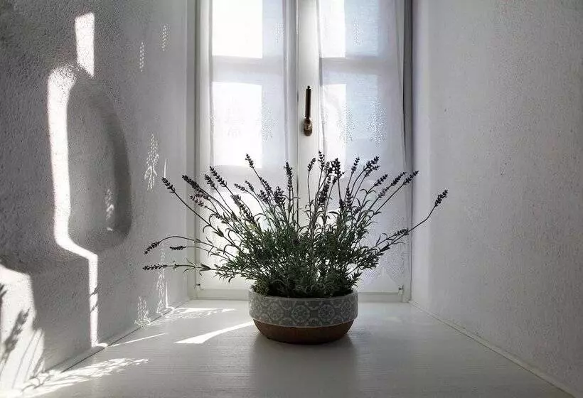 酒店 Orologopoulos Mansion Luxury