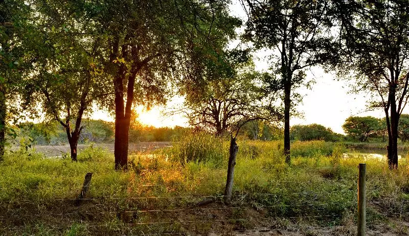 호텔 Black Rhino Game Lodge