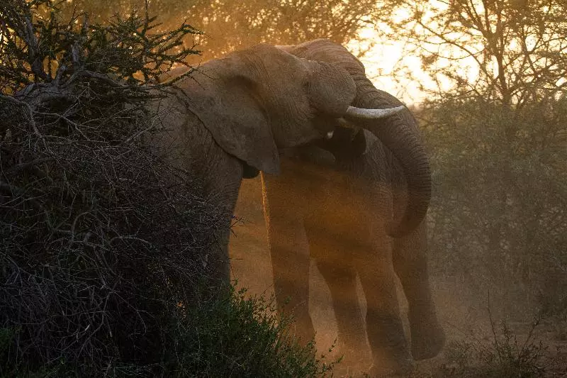 호텔 Black Rhino Game Lodge