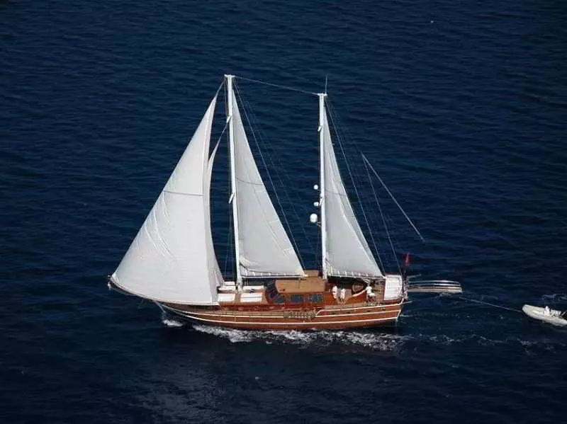 Otel Racing With Glory Dolphins