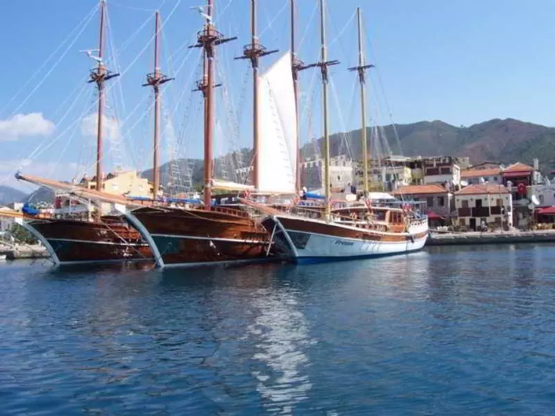 Otel Racing With Glory Dolphins