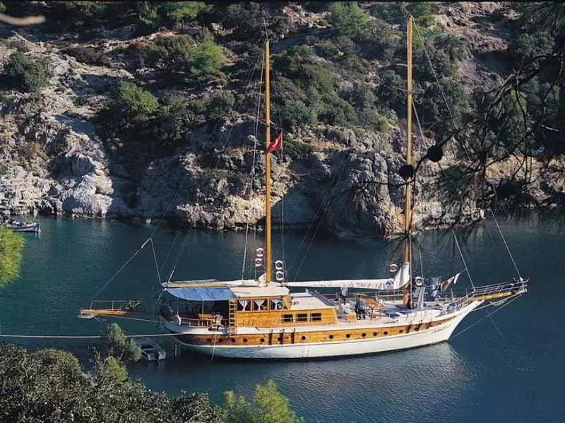 Otel Racing With Glory Dolphins