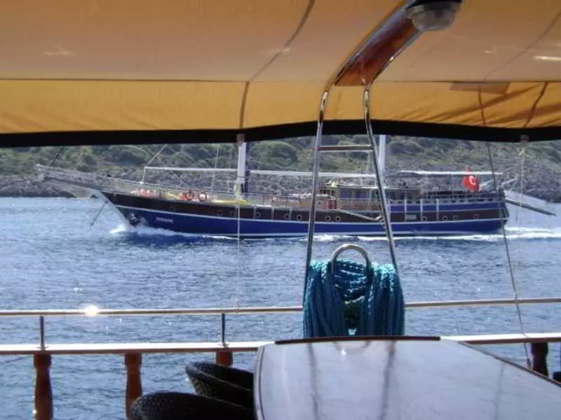 Otel Racing With Glory Dolphins