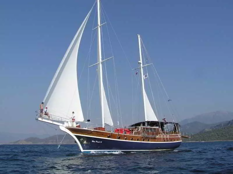 Otel Racing With Glory Dolphins