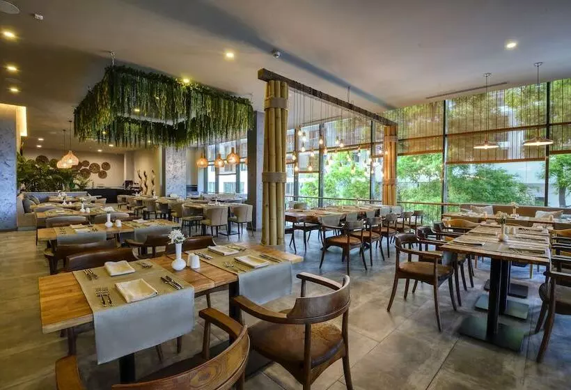 Grifid Vistamar Hotel 24 Hours Ultra All Inclusive & Private Beach