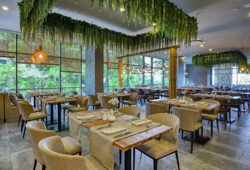 Grifid Vistamar Hotel 24 Hours Ultra All Inclusive & Private Beach