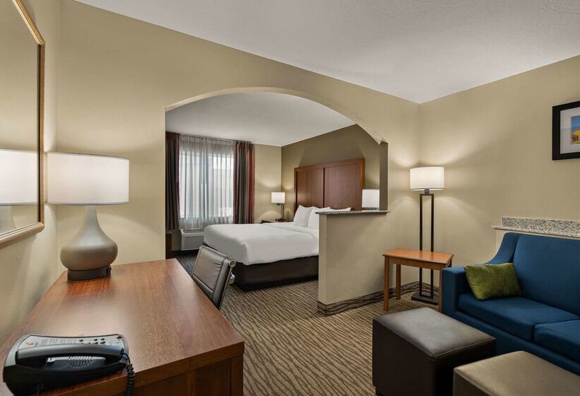 酒店 Comfort Inn Ogden Near Event Center