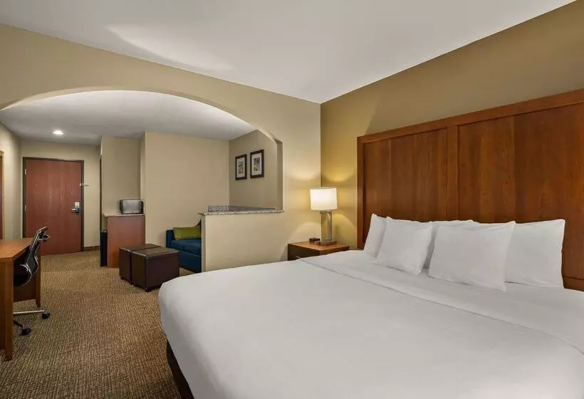 酒店 Comfort Inn Ogden Near Event Center