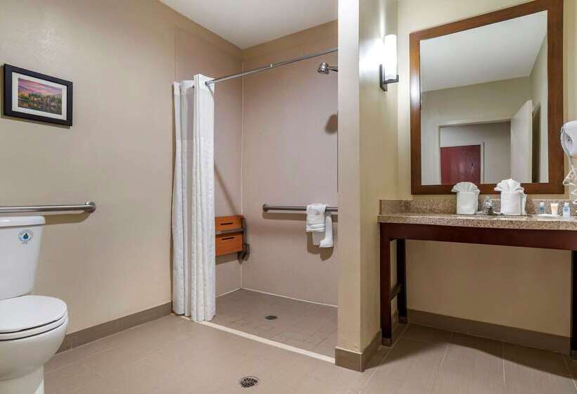 酒店 Comfort Suites Pell City I 20 Exit 158