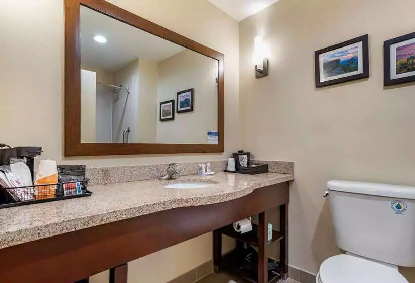 호텔 Comfort Suites Pell City I 20 Exit 158