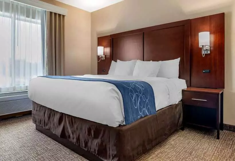 호텔 Comfort Suites Pell City I 20 Exit 158