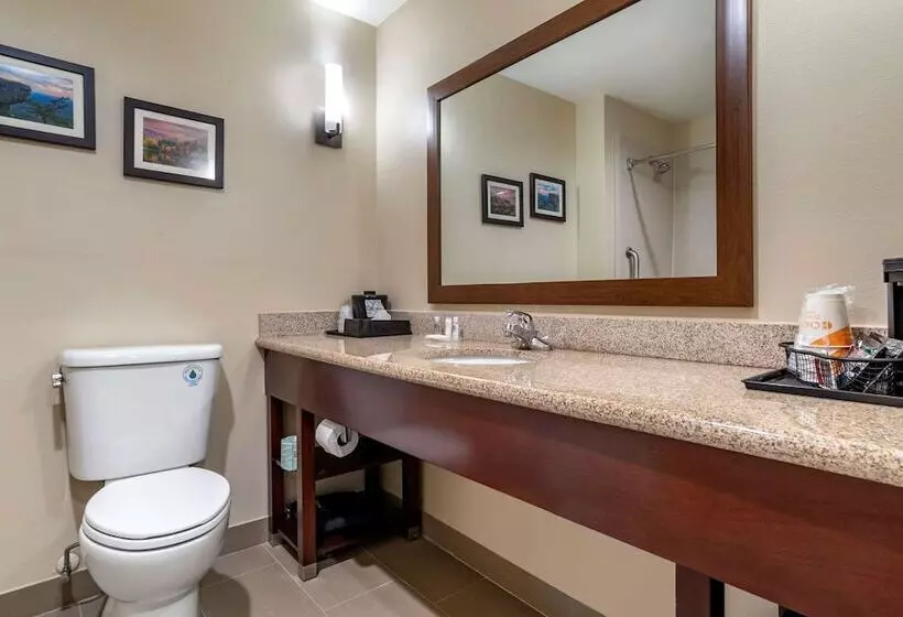 호텔 Comfort Suites Pell City I 20 Exit 158