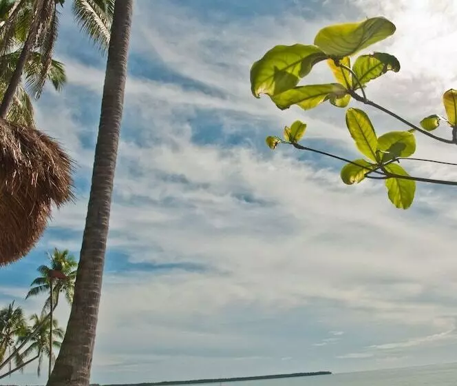 Hotel Crystal Paradise Resort, Spa & Winery