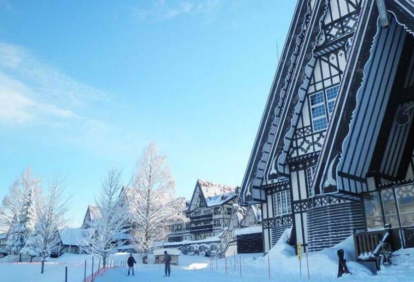 Отель Green Plaza Joetsu