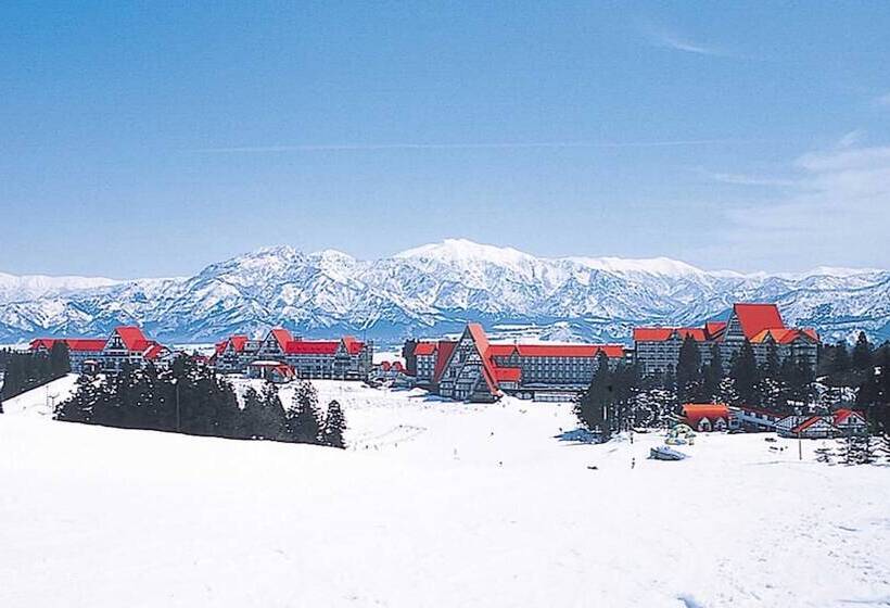 Отель Green Plaza Joetsu