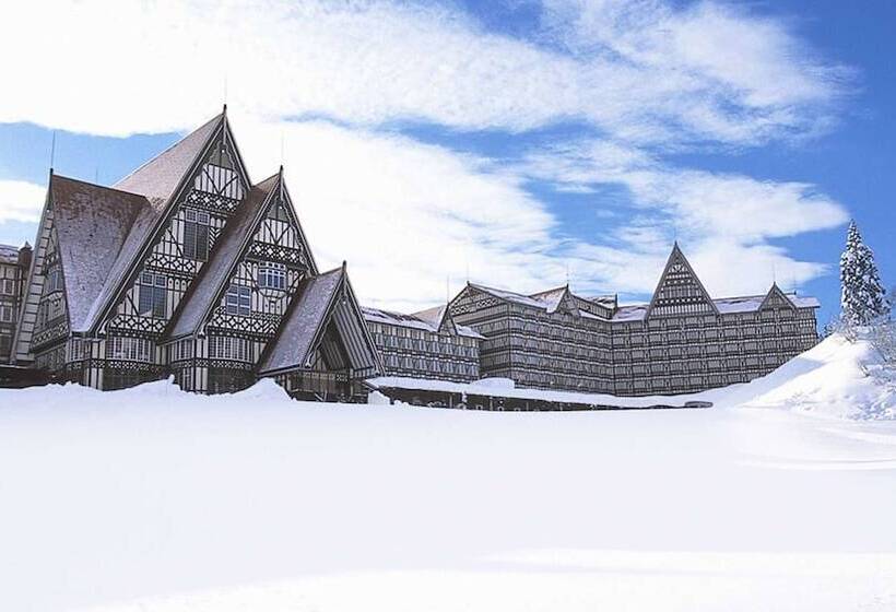 Отель Green Plaza Joetsu