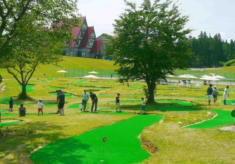 Отель Green Plaza Joetsu