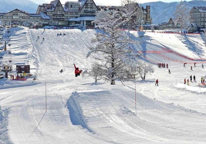 Отель Green Plaza Joetsu