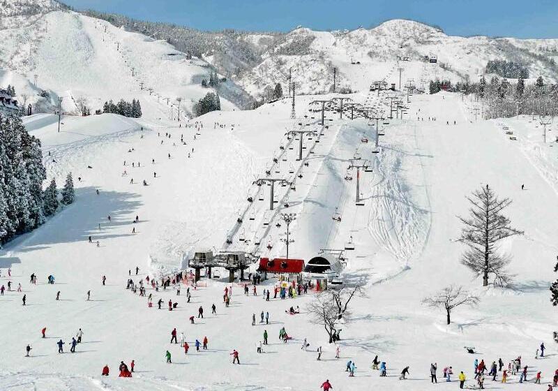 Отель Green Plaza Joetsu