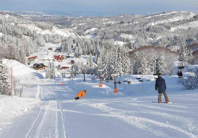 Отель Green Plaza Joetsu