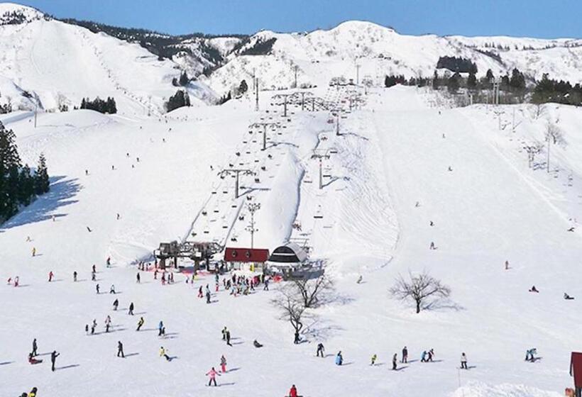 Отель Green Plaza Joetsu