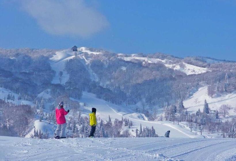 Отель Green Plaza Joetsu