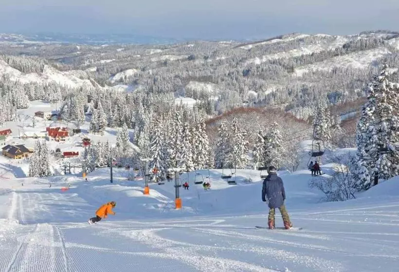 호텔 Green Plaza Joetsu