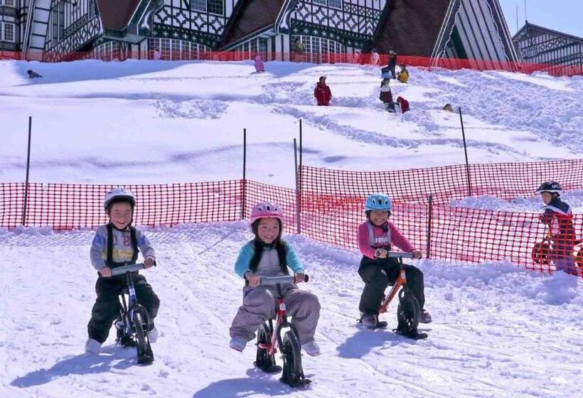 Отель Green Plaza Joetsu