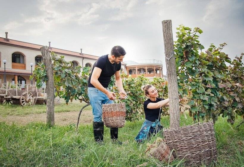 Panorama Kakheti Resort By Cosmos Hotels