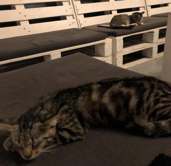 בית מלון כפרי Rembulan Langkawi Guesthouse