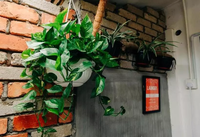 ホテル Rembulan Langkawi Guesthouse