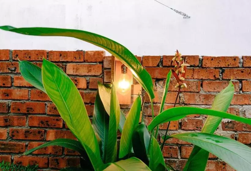 ホテル Rembulan Langkawi Guesthouse