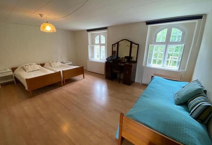 ホテル Sostrup Slot