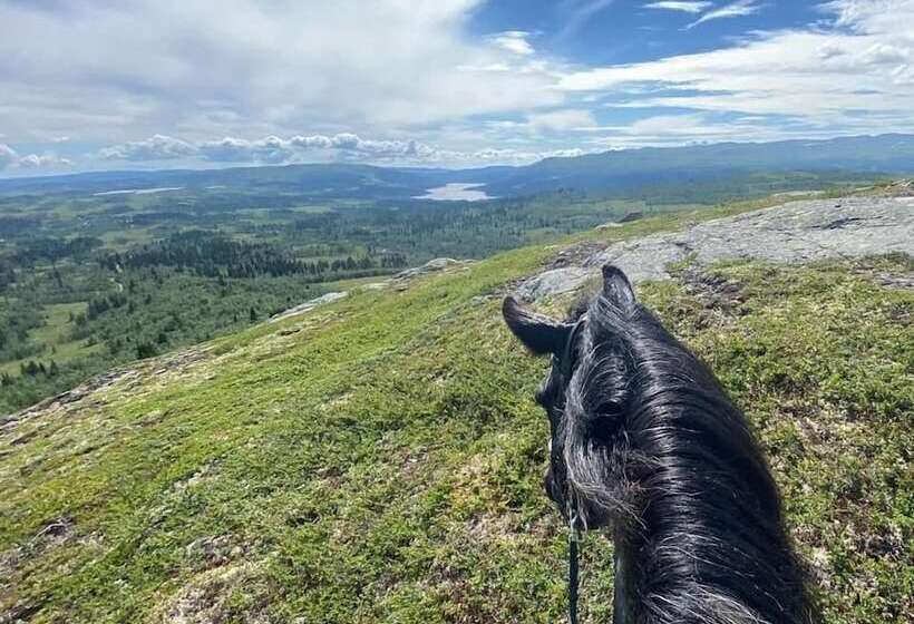 Spåtind Fjellhotell